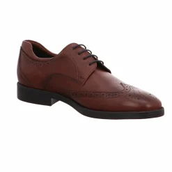 Sioux Freizeit Schnürer braun-Herren Sneaker & Schnürer