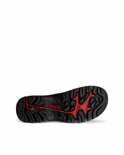 Ecco Wanderschuhe-Herren Wandern & Trekking